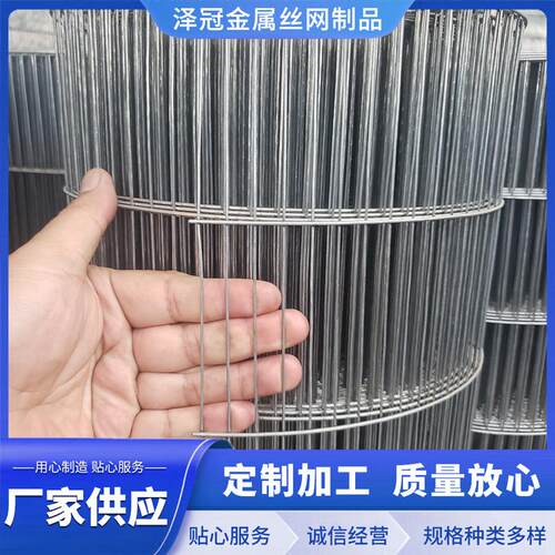 铁丝网长孔笼子养殖防护工厂整卷一件代鸽笼兔笼养殖笼网格片