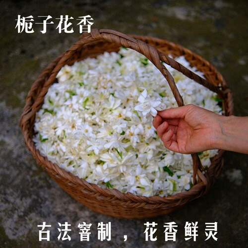 25野栀子花九曲红梅清甜细腻花香 古法纯手工窨冷热泡宜 双重检测