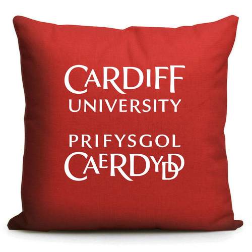 正品新留款英国名校周大边 卡迪夫纪念品学学生礼品印校徽LOGO沙