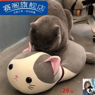 宠物公母猫性发泄玩具仿真猫咪公猫发情期陪睡性仿真伴侣