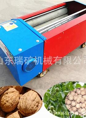 核DSM去皮清洗机青桃皮核桃去皮自机全动核桃剥壳机