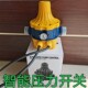 水泵力压开关制全自动自吸压447泵开关水压机械电子可调增控器配