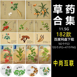 中国风复古记载中草，药材植物花卉工笔画，手绘本草插画素材图片