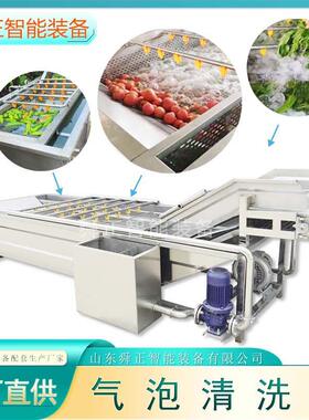 香菇清洗机果蔬气泡清洗机农作物清洗设备厂家大型洗菜机价格