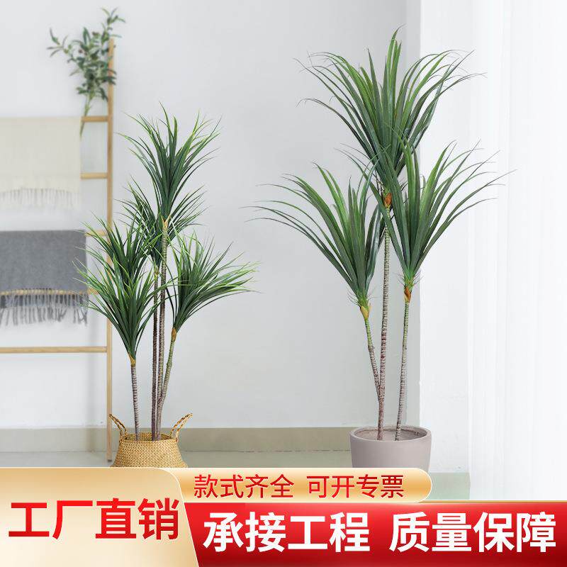 仿真绿植商场北欧风家居装饰落地摆件迷你龙血铁 仿真植物龙血树
