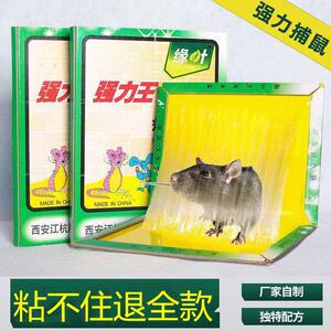 老鼠贴粘鼠板达豪厚纸板粘大鼠强力沾鼠板老鼠板缘叶