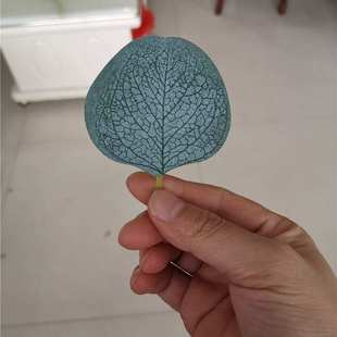 仿真花叶配件 饰布叶 单片金钱叶丝印尤加利叶 壁挂藤条成品把束装