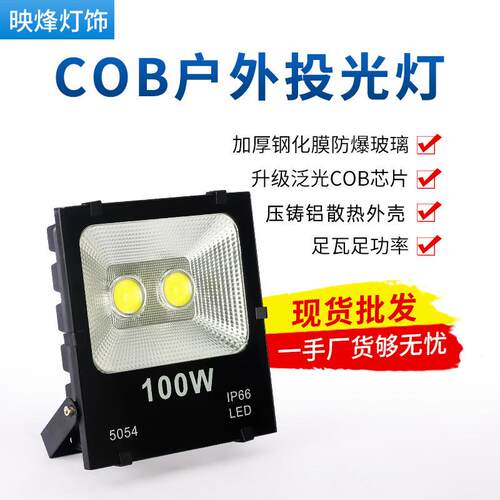 led投光灯 100W50W30W户外防水5054黑金刚庭院灯广告牌cob泛光灯