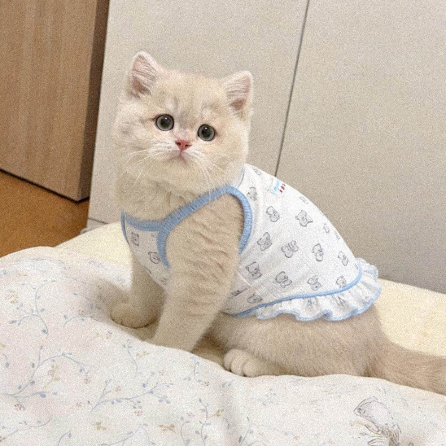 春季小猫衣服薄款透气防掉毛漂亮吊带猫咪小型犬狗狗通用宠物背心