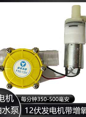 发电机水流管道抽水12伏带加氧泵鱼缸抽水小型水利实验直流电机DY