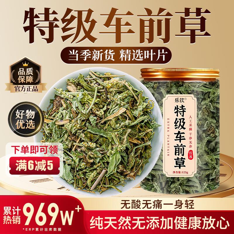 特级新鲜车前草纯野生干货中药材蒲公英夏枯草茶正旗品官方舰店zz