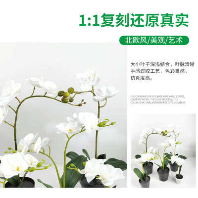 北欧高品质人造假花 DIY高档带盆摆件客厅结婚装饰仿真蝴蝶兰盆栽