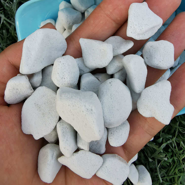 硬质珍珠岩颗粒大园艺养兰花月季石斛多肉营养拌土铺面