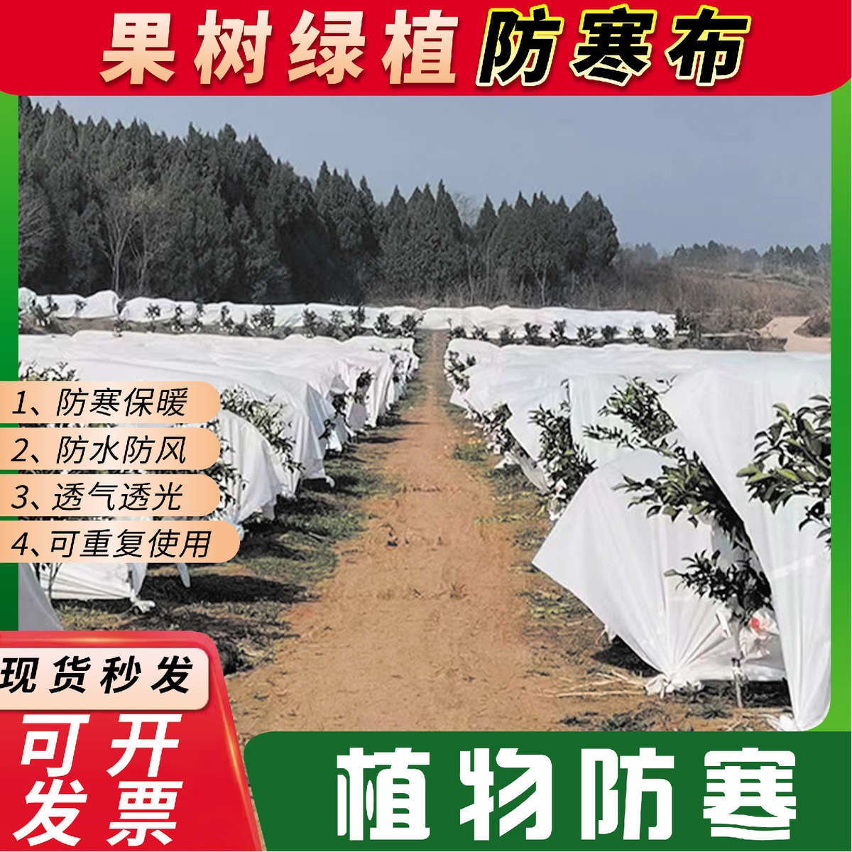 农用防霜布沃橘防寒布育苗水稻布白色防冻无纺布植物防寒罩防霜布