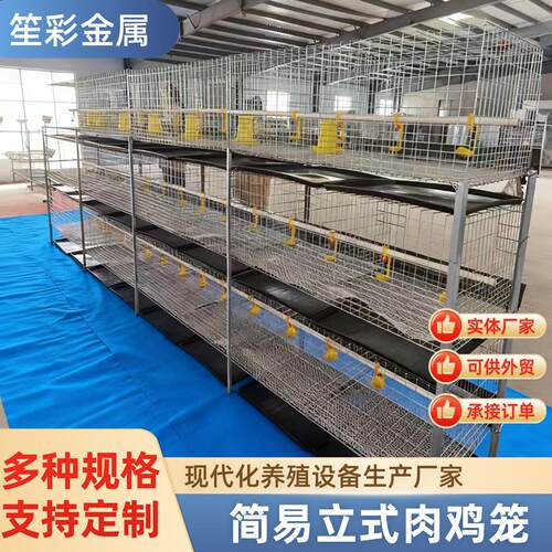 鸡舍养鸡肉鸡笼农场用养鸡笼具四层式鸡笼热镀锌立式组装肉鸡笼