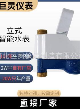立式远传水表 RS485/MBus输出nbiot/LoRa无线远传均可 上进水下出