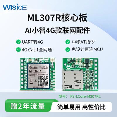 ML307R/ML307C模组中移核心板4G模块 小智AI联网配件Cat.1通信