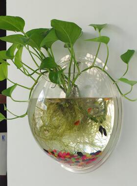 贴墙水培花盆绿萝植物客厅墙上壁挂装饰创意壁挂篮吊兰悬挂式花盆