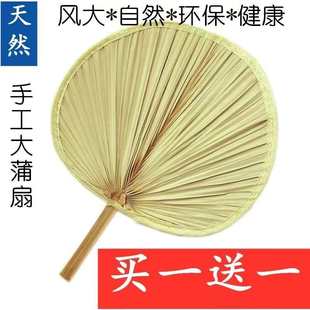 蒲草手工扇绘画扇棕叶烧烤扇 扇子大蒲扇芭蕉扇济公扇葵扇老人老式