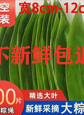 【新鲜大粽叶】真空大叶鲜粽叶新鲜粽子叶真空棕叶子大号家用