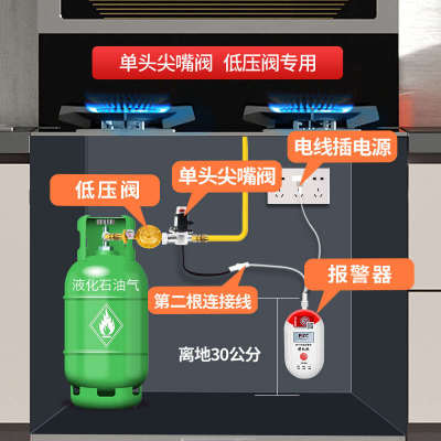 燃气报警器煤气罐泄漏自动切断阀餐饮饭店商用液化气丙烷报警器