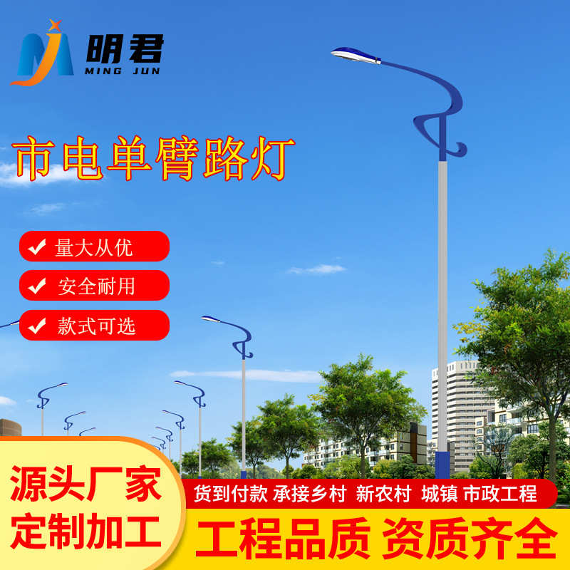 Led路灯杆户外新农村4/5/6/8/10/12米小区广场市电道路高杆灯厂家