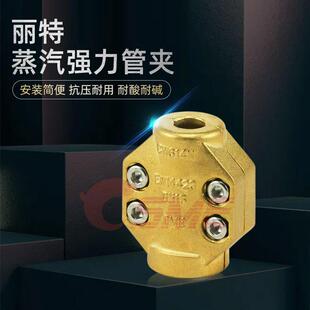 蒸气强力接头黄铜EN1442安全夹软管强力固定夹