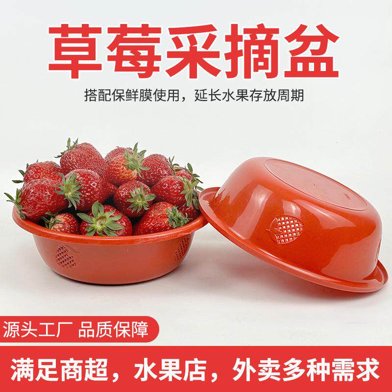 加厚采摘透气草莓盆水果盆塑料圆形盆樱桃蓝莓沥水篮家用透气沥水