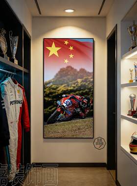 张雪机车WSBK夺冠装饰画德比斯车手冠军海报客厅挂画国旗世界名画