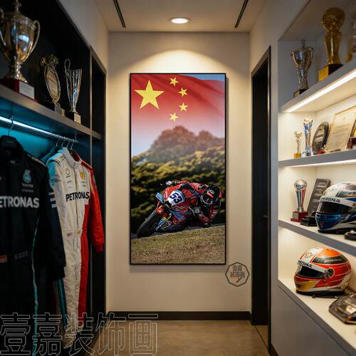 张雪机车WSBK夺冠装饰画德比斯车手冠军海报客厅挂画国旗世界名画