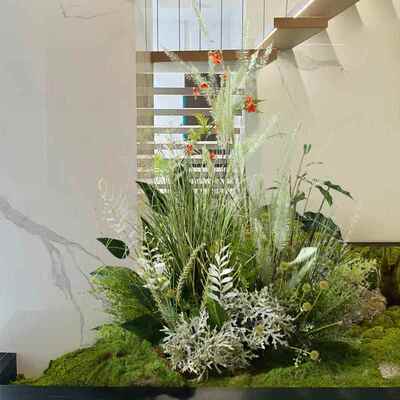 小橱窗展柜型植物景花丛草ltao6841堆店假绿植装造铺饰青苔小景花