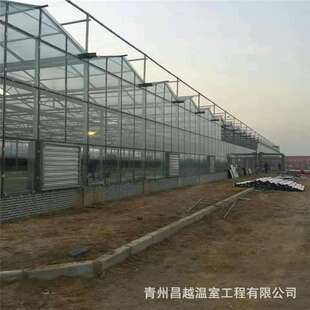 5中空钢化玻璃板覆盖承重力强 田园风光文洛式 玻璃温室大棚5