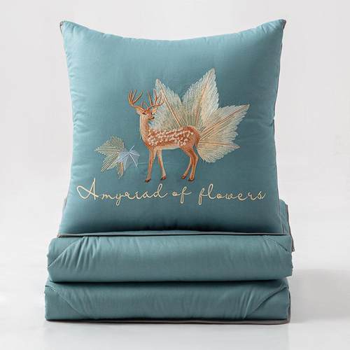 纯棉抱枕被子两用沙发枕头汽车靠垫办公室靠枕午睡毯子二雁冰