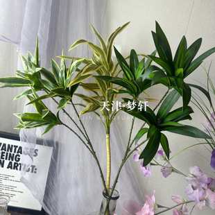 金边百合竹 园林南阳风婚礼 婚庆仿真绿植假花黄金兰花叶家居软装