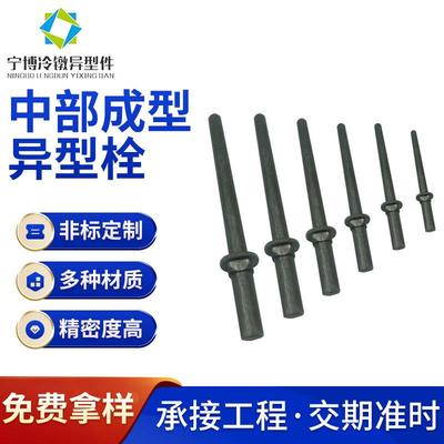 邯郸市冷镦多工位紧固件异型中部成型螺栓标准件高强双头自攻螺丝