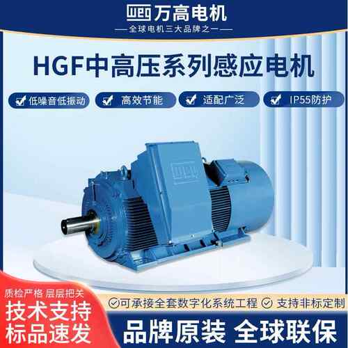 HGF中高压三相异步电动机立式矿用电机weg压缩机离心泵机械马达