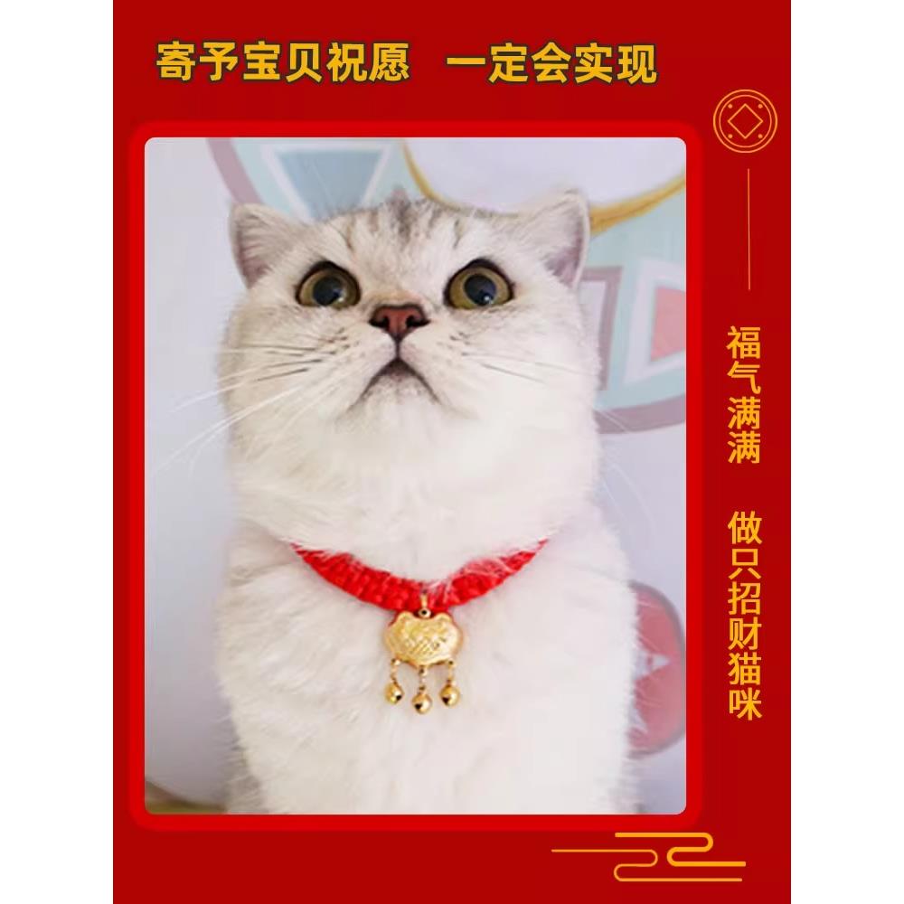 猫项圈铃铛宠物安全长寿锁节日新年围巾小尺寸狗颈项炼狗项圈