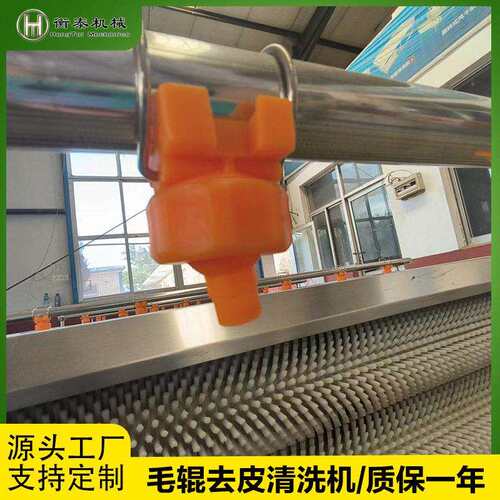 全动土豆毛辊清洗机 毛刷土豆清自洗去机 海HT-MG100蛎子皮泥海螺