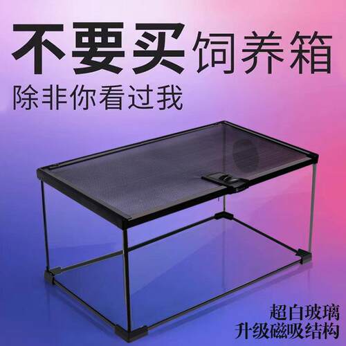 玻璃饲养箱爬虫缸雨林爬宠陆龟守宫蜥蜴角蛙蜘蛛甲虫宠物蛇生态缸