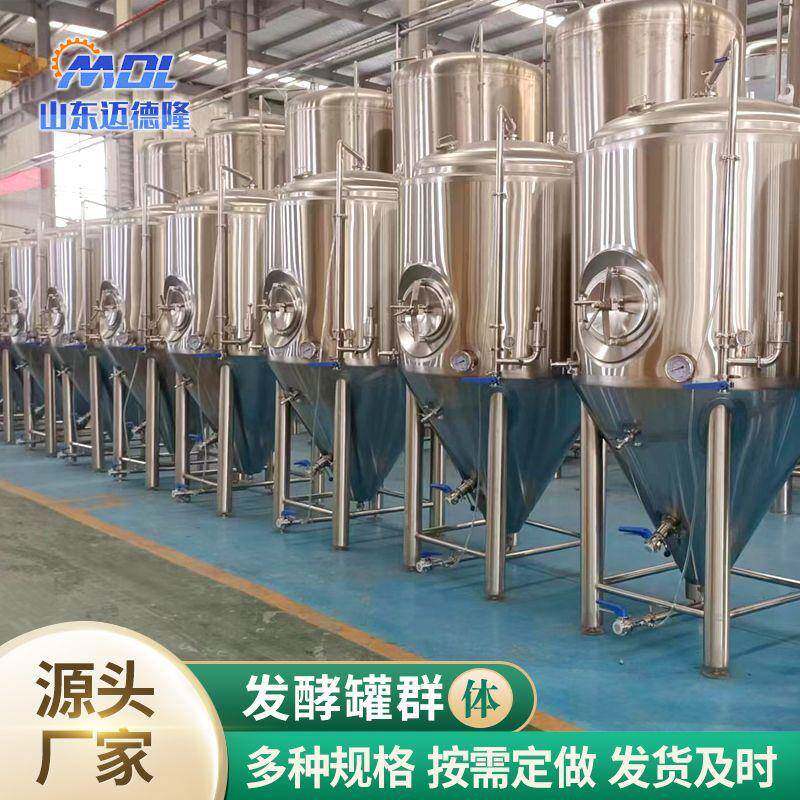 啤酒设备精酿设备500L发酵罐大型啤酒厂原浆啤酒设备精酿啤酒设备