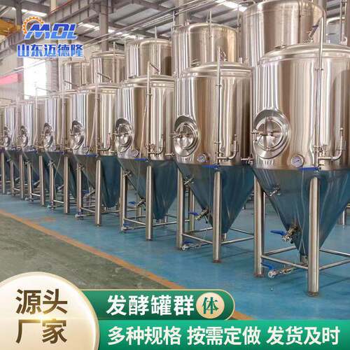 啤酒设备精酿设备500L发酵罐大型啤酒厂原浆啤酒设备精酿啤酒设备