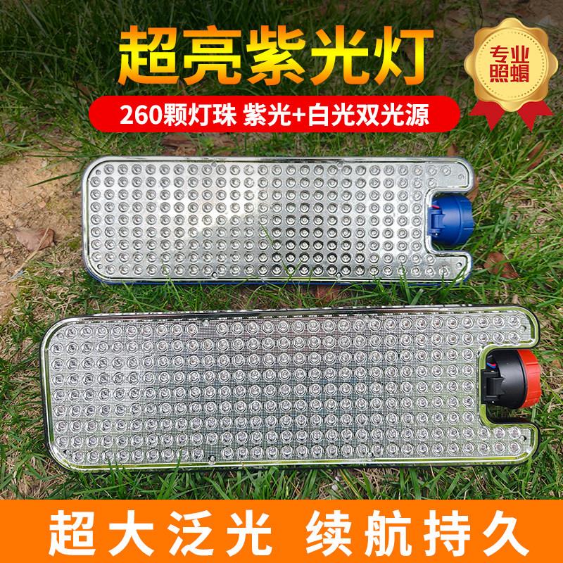 260颗蝎子灯充电式紫光灯6锂电充电式超亮强光大功率超长续航豆虫