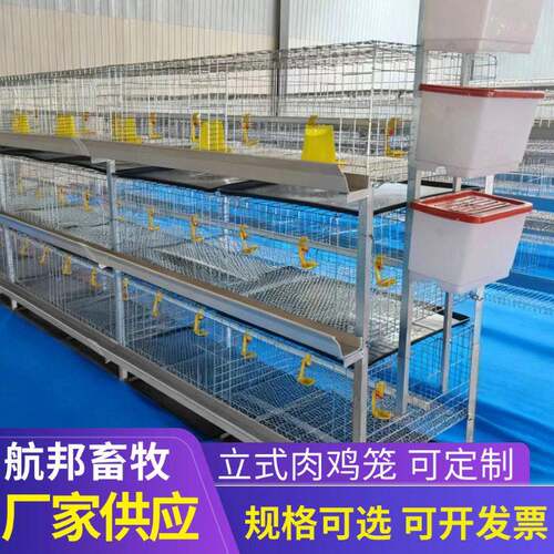 三层立式肉鸡笼养殖厂家镀锌粪盘肉鸡笼畜牧养殖设备养鸡笼定制