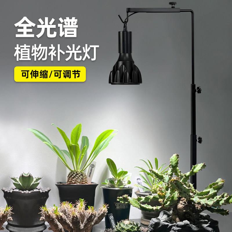 全光谱植物生长灯桌面台式小型盆景盆栽龙舌兰块根仙人球补光灯