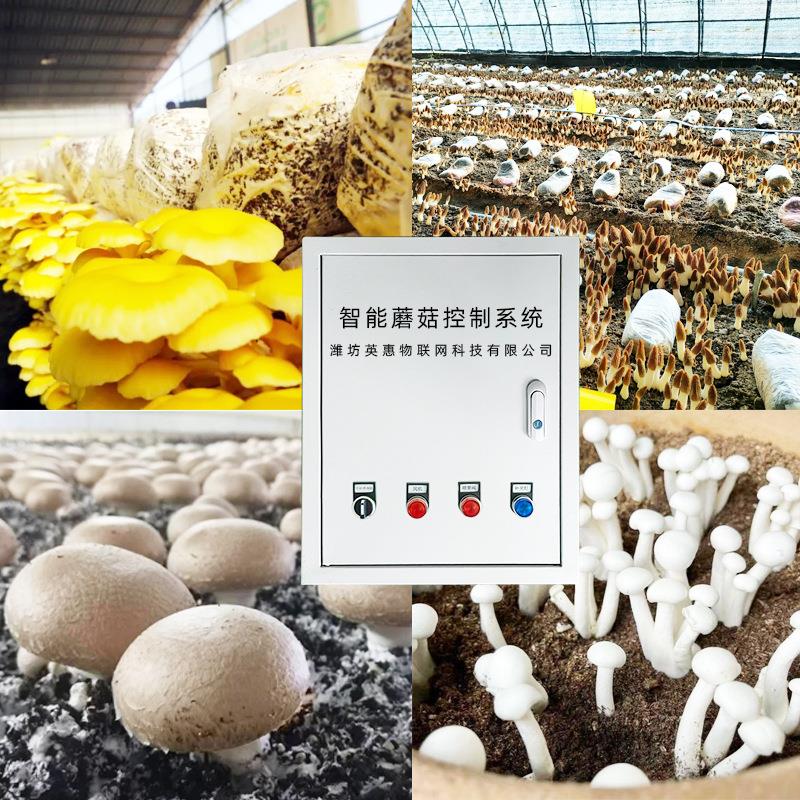 房蘑菇房温全7湿度控制器养自动智能食用菌殖环控系统