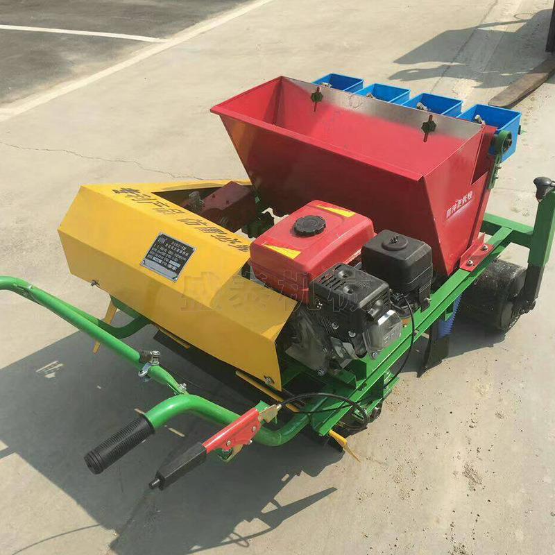 四行五行大蒜汽油点播机手推式种蒜米工具汽油种蒜机株距可调