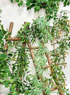 春季自然绿植爬藤蔓绿叶仿真尤加利藤条户外婚礼造景装饰室内布置