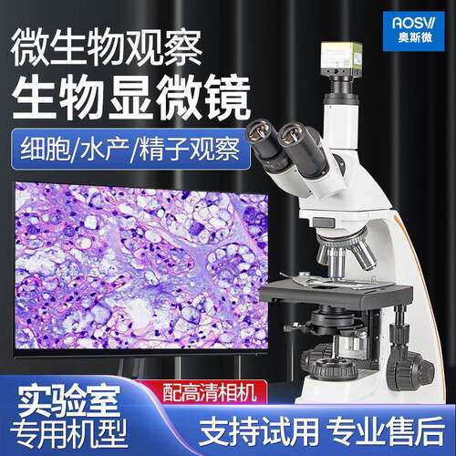 奥斯微（AOSVI）科研级专业细菌细胞观察生物显微镜L208-21TZ