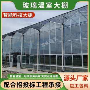 生态餐厅荷兰式 玻璃温室大棚 连栋阳光板喷塑科研观光种植大棚