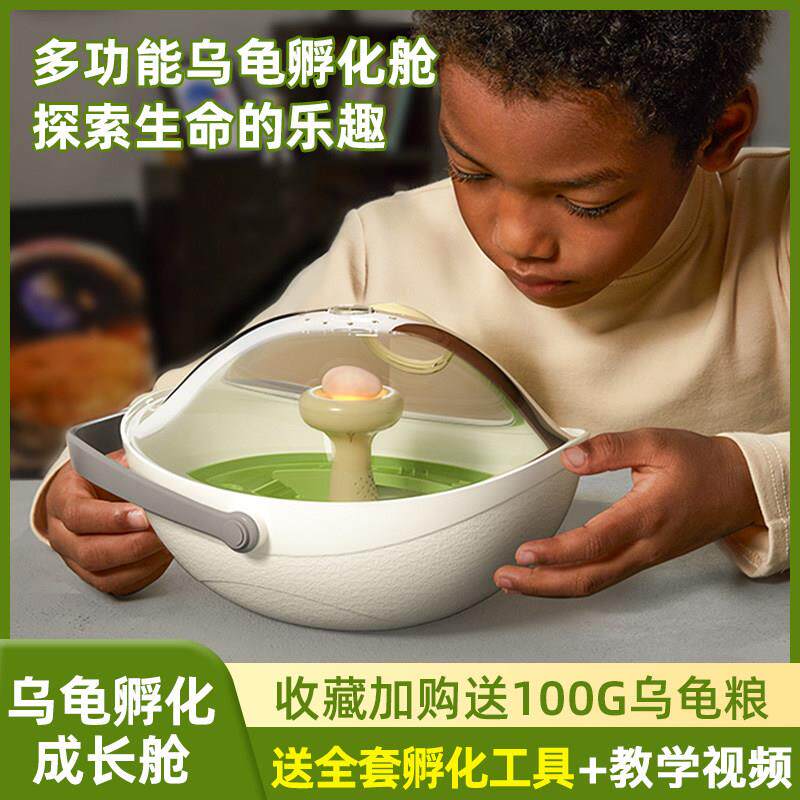 乌龟蛋可孵化成长仓活物爬台专用乌龟缸宠物饲养箱小龟盒六一礼物